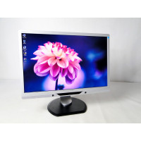 Монітор 22" PHILIPS 225PL2 TN+film Widescreen