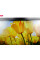 Монітор 21.5" HP LA2206XC TN+film (веб-камера) Widescreen Black 